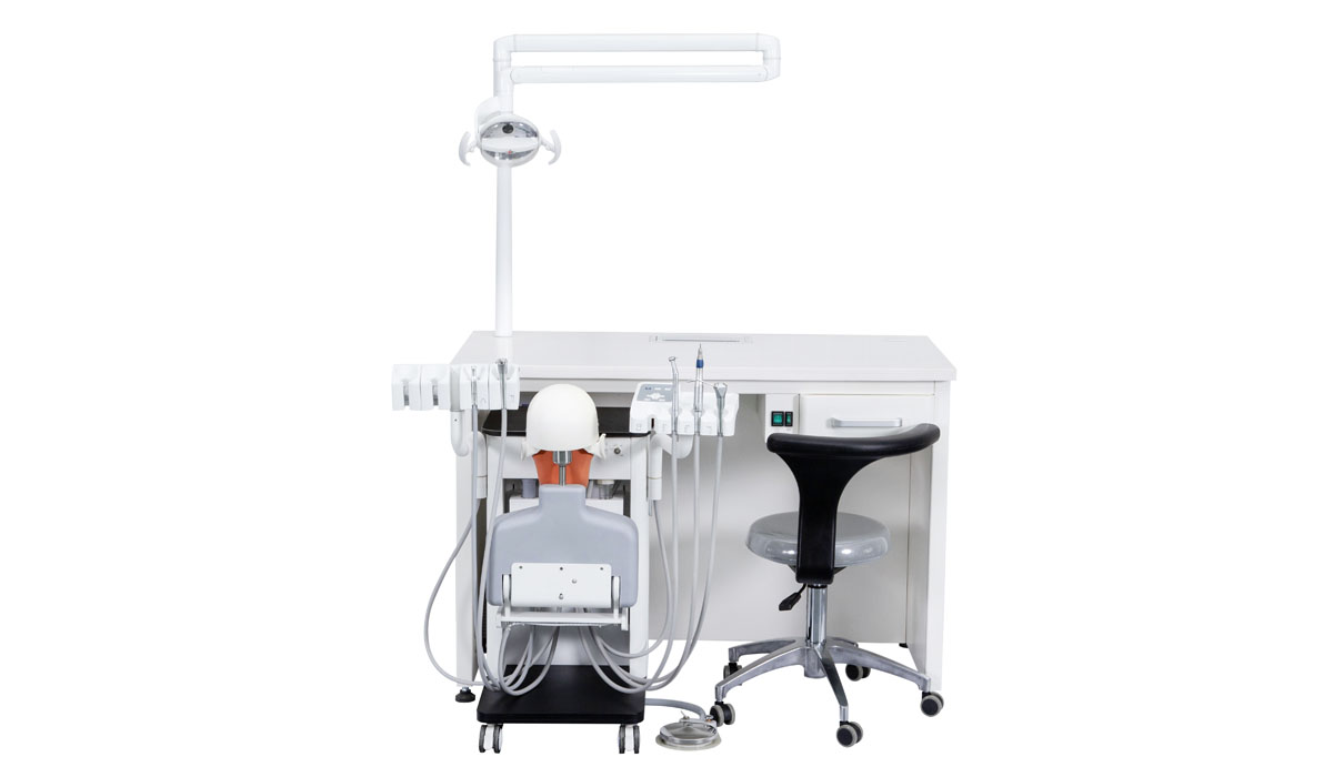 dental simulation