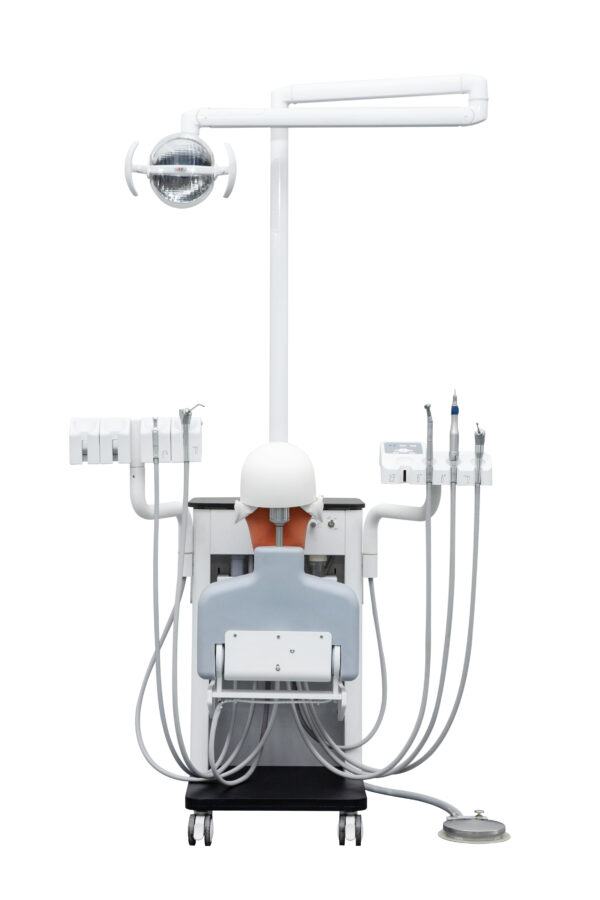 Dental Training Simulation Head Unit Class II Electricity-Powered Metal Manikin Parts for Teaching - Image 3