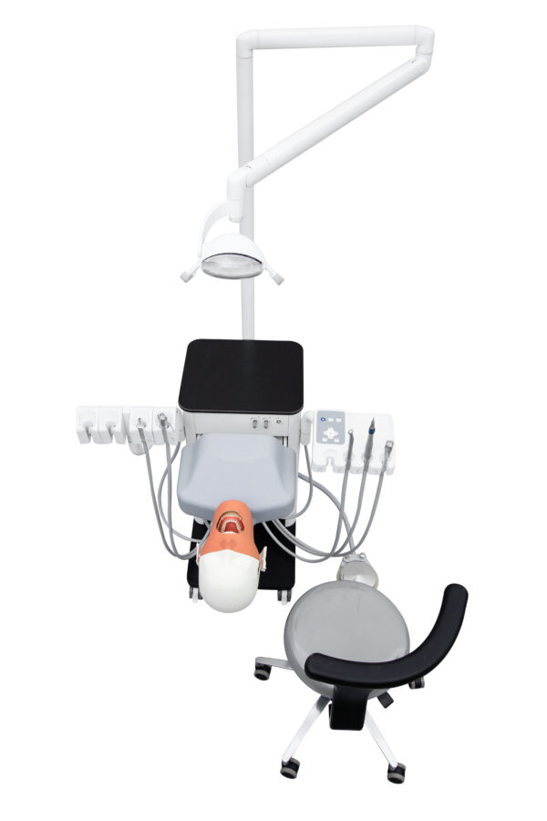 Dental Training Simulation Head Unit Class II Electricity-Powered Metal Manikin Parts for Teaching - Image 6