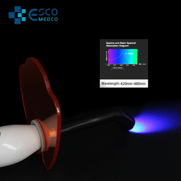 curing light for dental