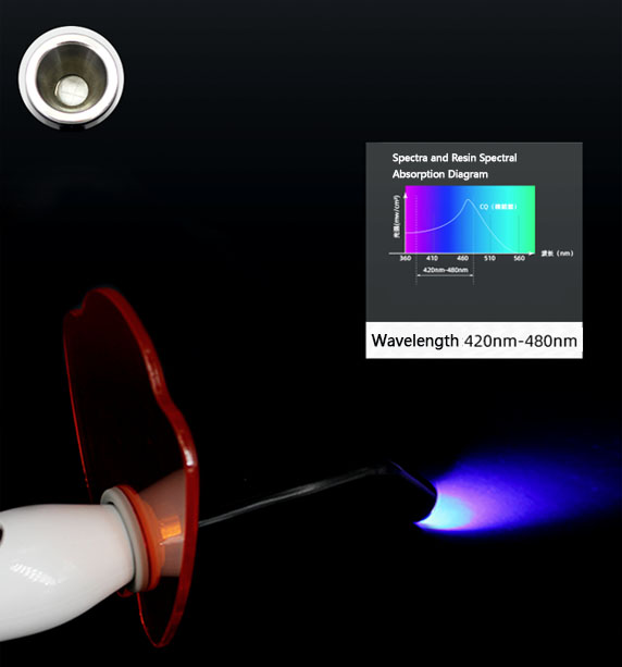 dental curing light